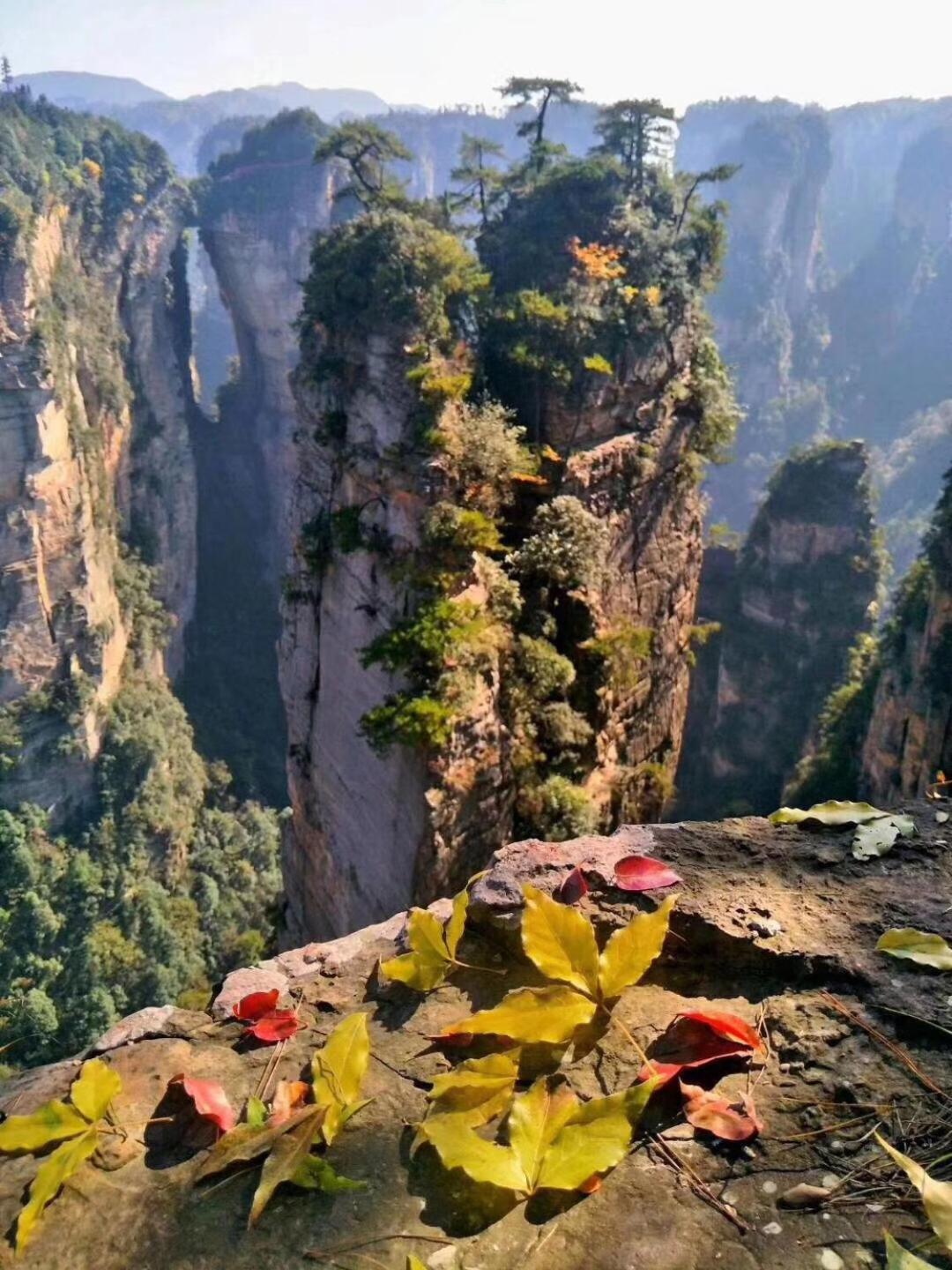 Tongfu Inn Zhangjiajie Eksteriør billede